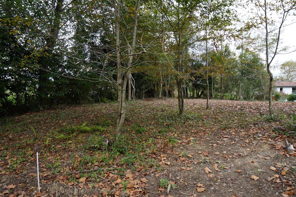 Terrain BASSUSSARRY (64200) L'Agence du Golf