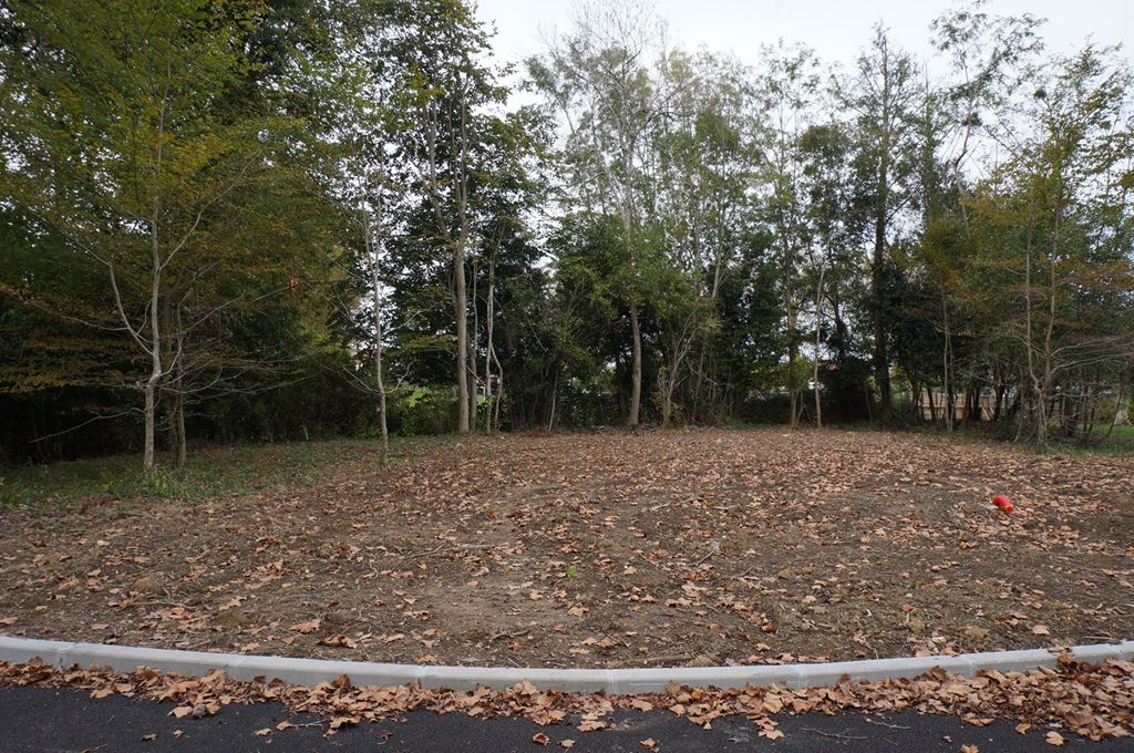 Terrain BASSUSSARRY (64200) L'Agence du Golf